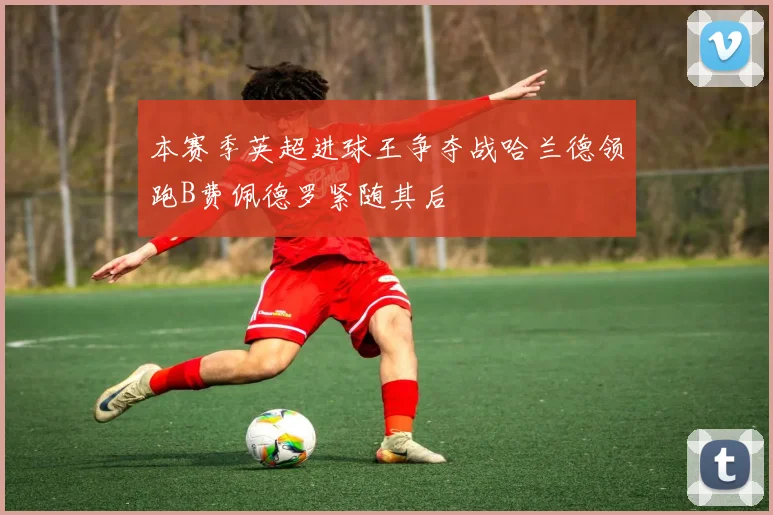 本赛季英超进球王争夺战哈兰德领跑B费佩德罗紧随其后